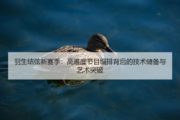 羽生结弦新赛季：高难度节目编排背后的技术储备与艺术突破