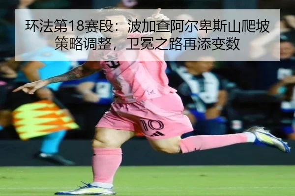 huan-fa-di-sai-duan-bo-jia-cha-a-er-bei-si-shan-pa-po-ce-lve-tiao-zheng-wei-mian-zhi-lu-zai-tian-bian-shu-2-652.jpg